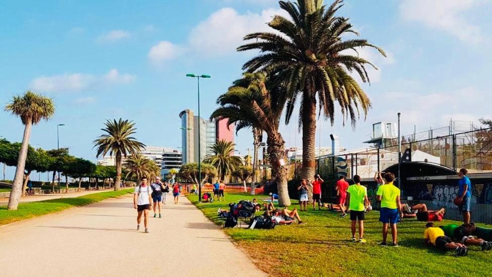 Apartamento Parque Jardin Las Palmas de Gran Canaria Exterior foto
